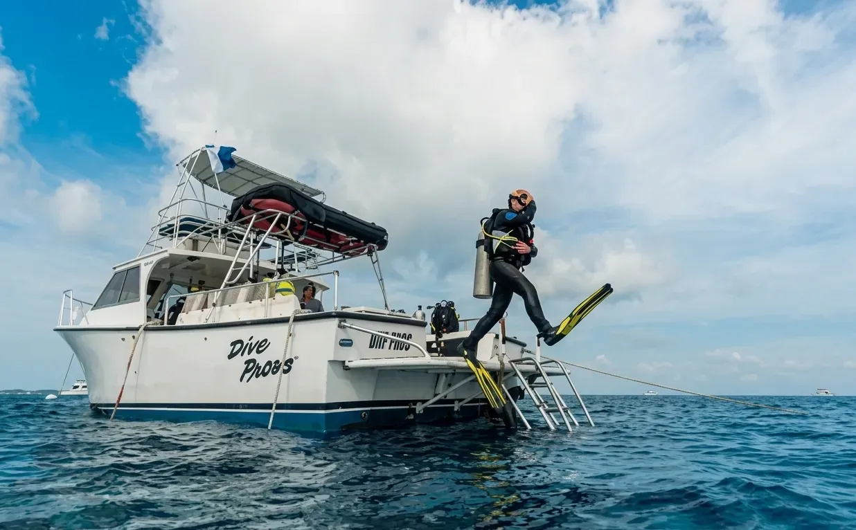 The Red Sea Discovery: Introductory Scuba Diving Day-Trip for Beginners