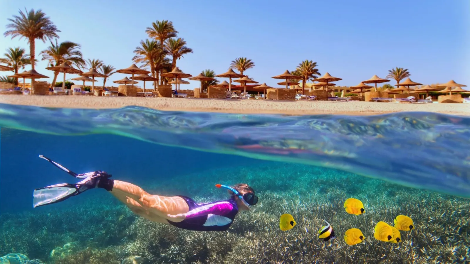 Deep Sea Fishing Trip: Red Sea Big Game Adventure from Hurghada