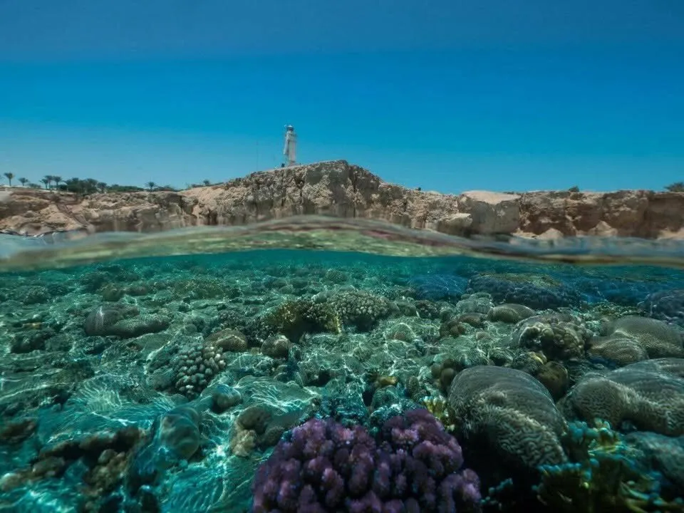Kitesurfing at Blue Lagoon – El Naaba: Flat Water Lessons & Free Ride Sessions